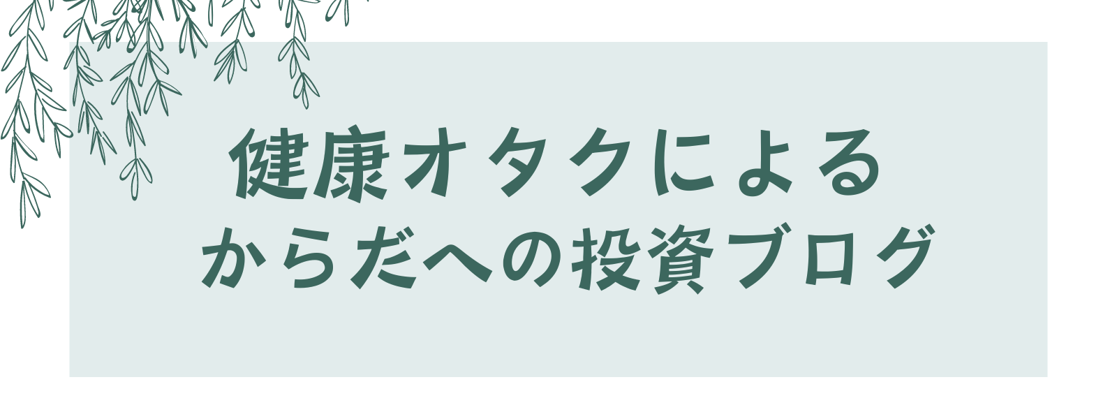 健康オタクによるからだへの投資ブログ